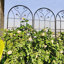 Ensemble de 2 treillis de jardin en métal 86,7 po x 19,7 po antirouille pour plantes grimpantes, support de fleurs extérieur noir
