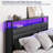 Rediona Upholstered Metal Storage Bed-1977595327-1976972963