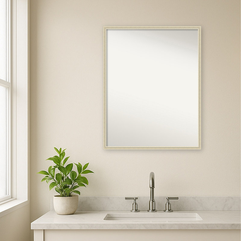 Miroir mural de salle de bain Phoebe, 23 in. W x 29 in. H, Argent Edith