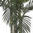  6.5ft. Golden Cane Palm Silk Tree