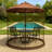 Artudatech Brown Polyester Screen for Canopy