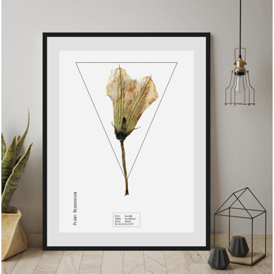 Plant - Single Picture Frame Print