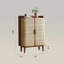 Armoire de rangement 2 portes en rotin pour chaussures et vestibule