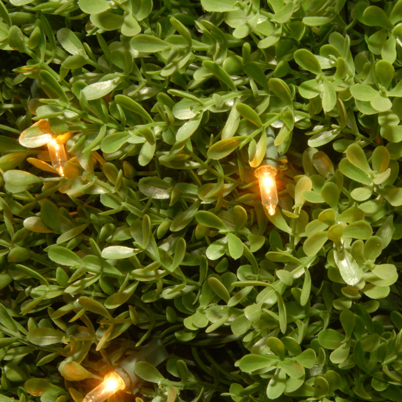 Pre-Lit Artificial Boxwood Tree, 48" H x 17" W x 17" D