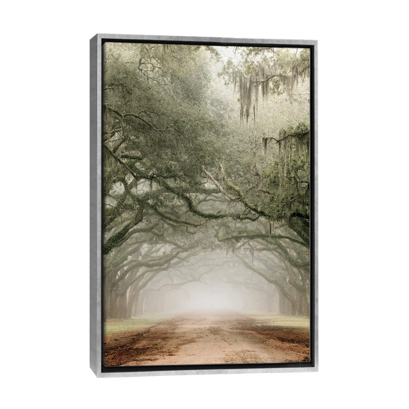 Plantation Drive, Silver Floater Framed Canvas, 26" H x 18" W x 1.5" D