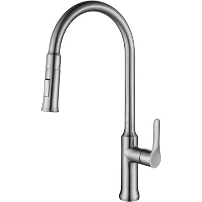 RAEN Lily Pull Down Kitchen Faucet