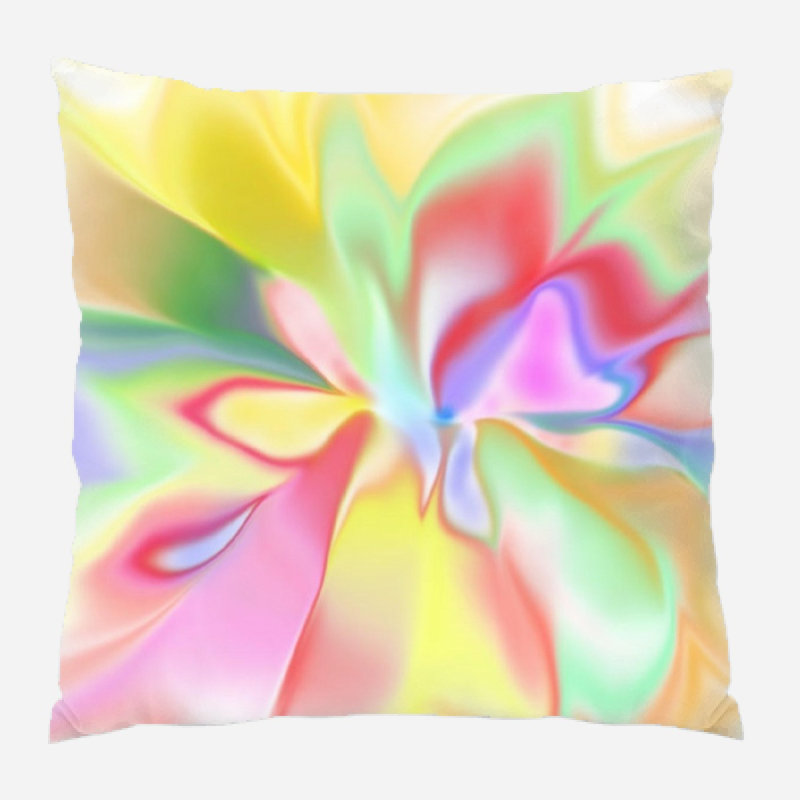 Coussin décoratif rites Brookston, Microsuède, Intérieur
