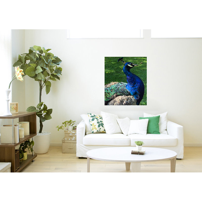 Beautiful Peacock Head - Wrapped Canvas Print
