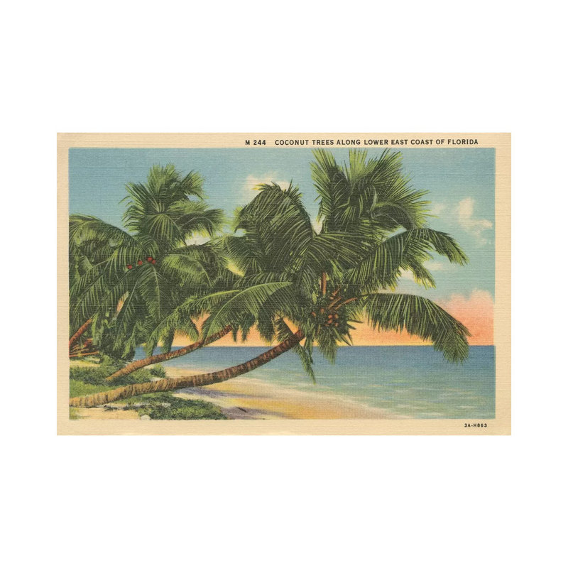 Florida Postcard III - Wrapped Canvas Print, 30.48 cm H x 45.72 cm W