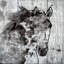 « winter cheval », impression sur toile-74526891-74526892-74526895