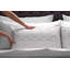 Ensemble de draps 100% coton en flanelle imprimée 170 g / m² Pointehaven-1994424056-1994424052