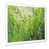 White Single Picture Framed