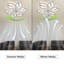 Ceiling Fan with LED Lights