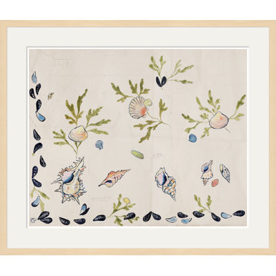 Shell 2 (Var. 1) Print by Paule Marrot