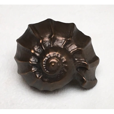 Tropical 3/2" Length Snail Novelty Knob