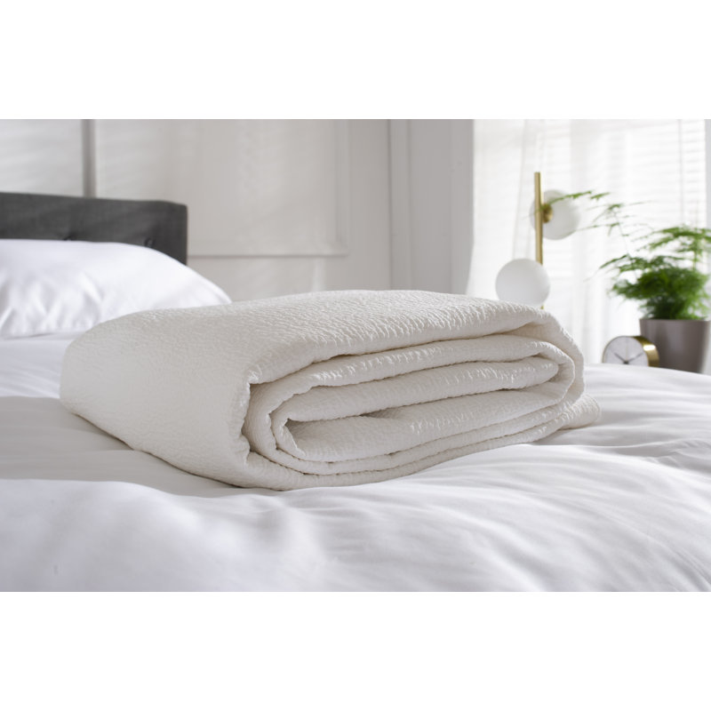 Guimraes Cotton Solid Colour Bedspread, White
