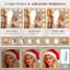 Dressing Table-1046989311
