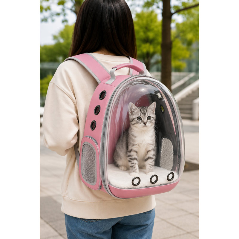 Sac à dos de transport pour animaux de compagnie pour chats et petits chiens, transporteur de bulles avec ventilation en filet et laisse de sécurité 