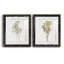 «Farmhouse Pressed Flower I», ensemble de 2 impressions-1472801478-1472801501