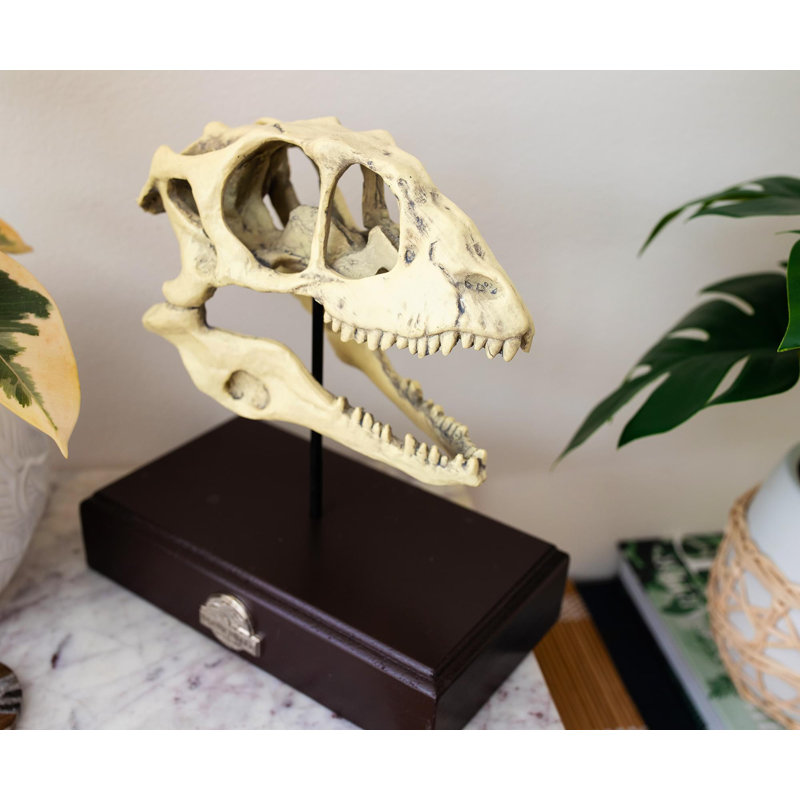 Reproduction de presse-papiers de crâne de Velociraptor de Jurassic World