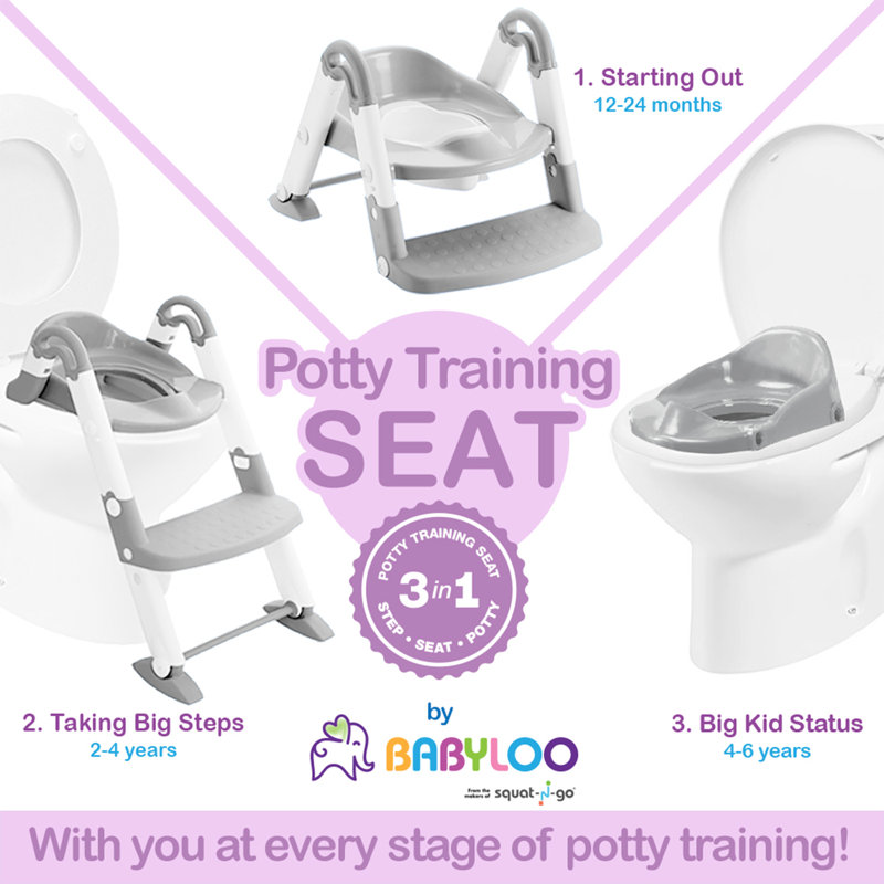 Toilet Safety Frame