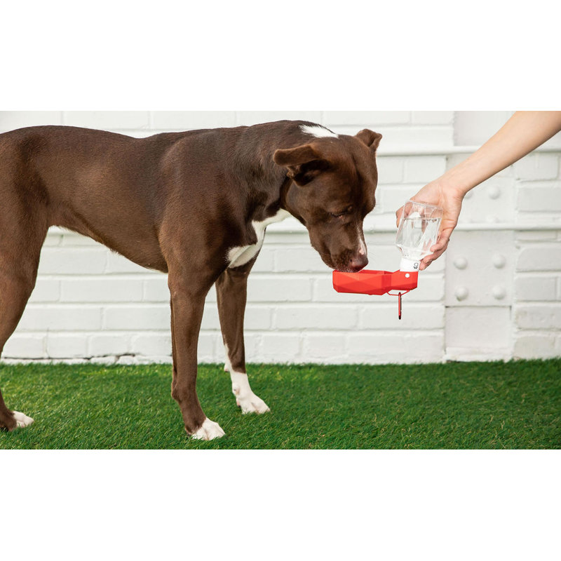 Bol pliable, Rouge