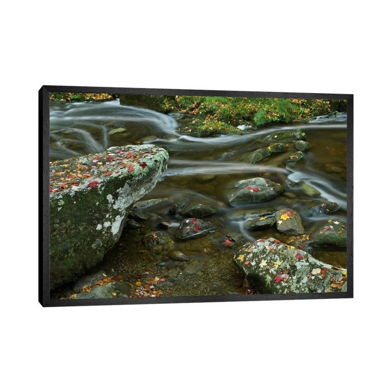 Laurel Creek, Great Smoky Mountains National Park, Tennessee 1 Piece Wall Art on Canvas, 66.04 cm H x 45.72 cm W