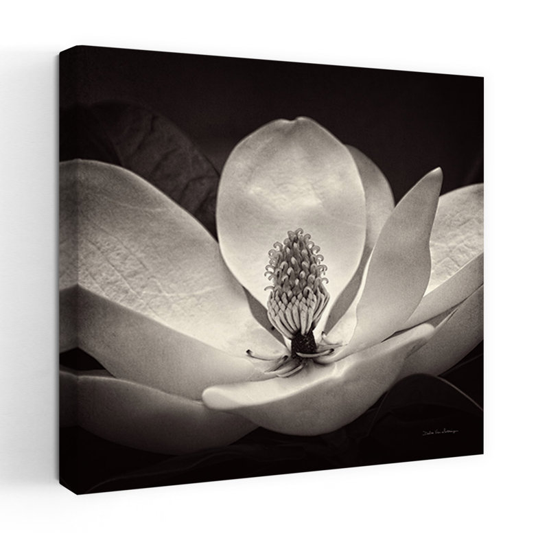 Art contemporain, art contemporain fleur de magnolia, H 36 po x l 36 po
