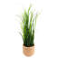 60cm Faux Onion Grass Grass in Ceramic Pot-2013013910