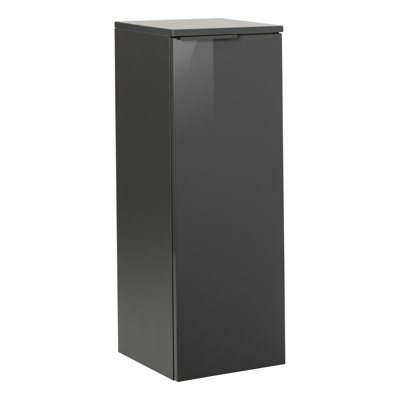 Luna Wall Bathroom Cabinet