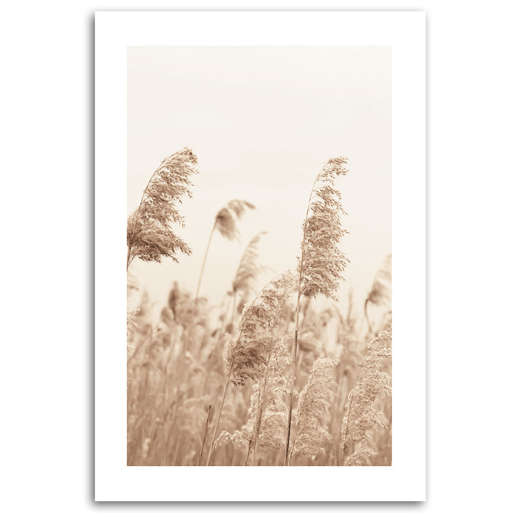 Reeds Swaying In The Wind - Leinwand Kunstdrucke