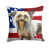 Chinese Crested