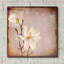 «Paper Magnolia Duo» par Lightbox Journal-940427369