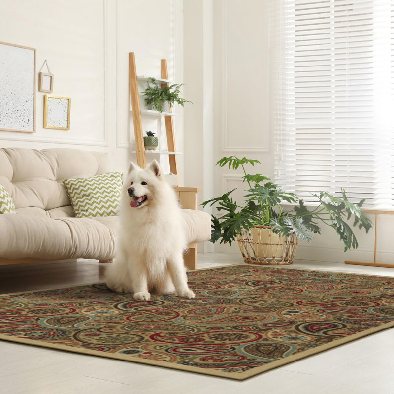 Paisley Design Beige and Red Non-Slip Washable Area Rug