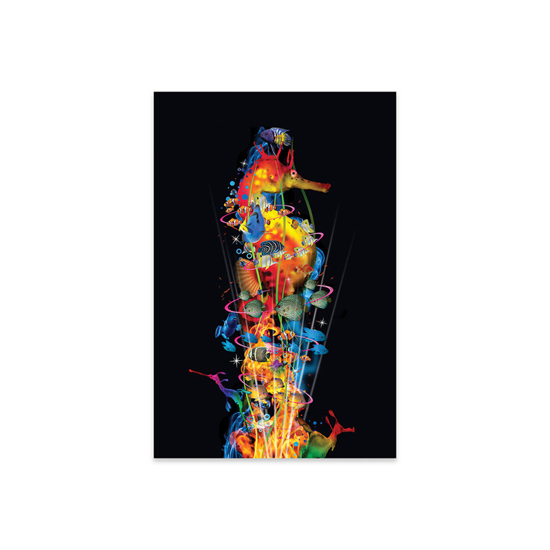 «Seahorse with His Friends» par David Loblaw - impression sans cadre, H 24 po x l 16 po x P 0,25 po