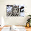 Glacieux tigre blanc Brampt-107707817