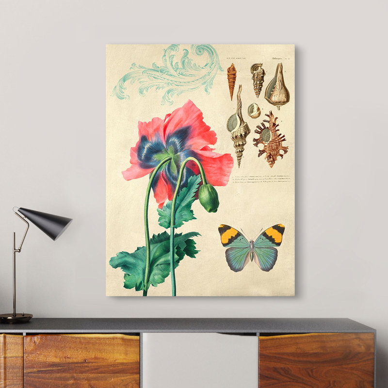 Cabinet Of Curiosities N. 3 by Joannoo - Wrapped Canvas Print, 70cm H x 50cm W x 4cm D