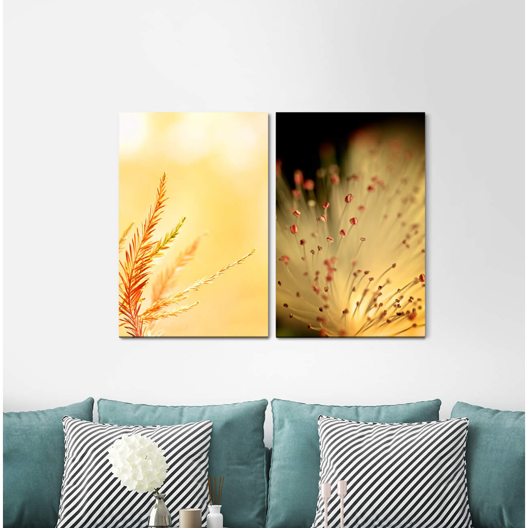 2-tlg. Leinwandbilder-Set - Fotografie „Fir Branch Golden Blossom Nature”