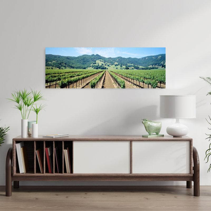 Napa Valley Vineyard Hopland, Ca, paysage abstrait contemporain, art mural printanier, H 12 po x l 36 po