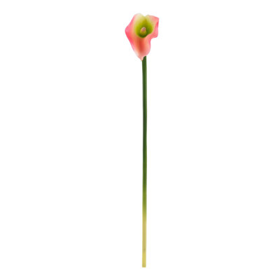 Calla Lilies Arrangement