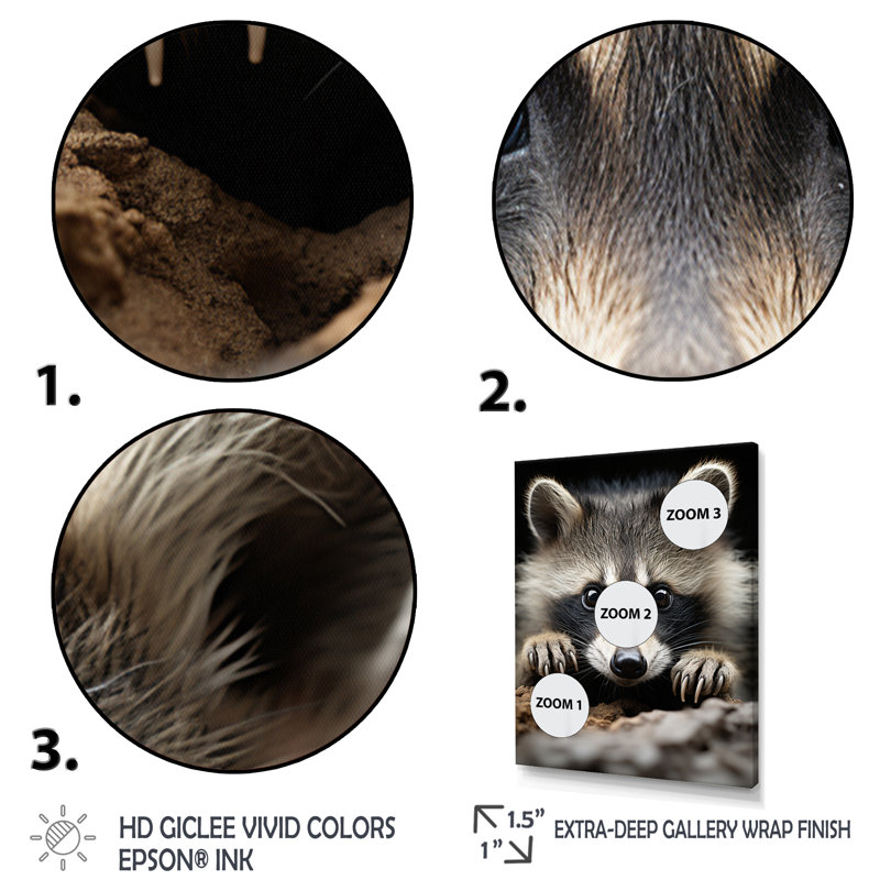 Animal raton laveur - reproduction d'art mural, Cadre d'angle fermé noir, H 32 po x l 24 po x P 1 po