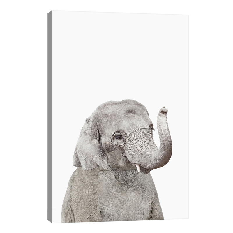 Baby Elephant - Wrapped Canvas Print, 101.6 cm H x 66.04 cm W x 3.175 cm D