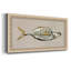 «Fresh Fish Study I», toile encadrée de qualité supérieure - prête à être accrochée-88113017-95417722