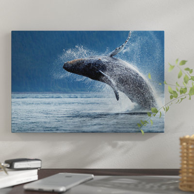 " Breaching Humpback Whale, Chatham Strait, Alaska, USA " by Paul Souders