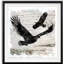 Birchbark Eagle - reproduction de cadre photo sur papier-258332815
