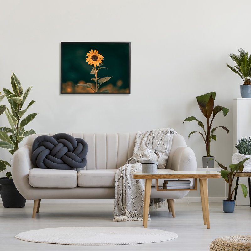 Tournesol foncé nature par Daniel Sproul, H 24 po x l 30 po x P 1,5 po, Giclée encadrée noir minuit