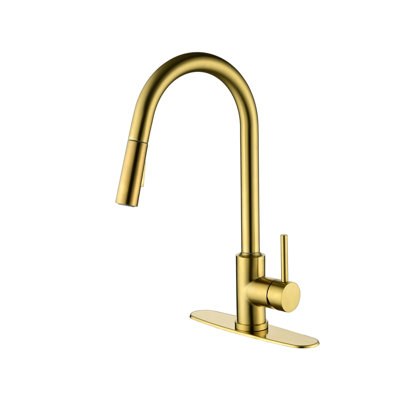 Kitchen Faucet With Pull Down Sprayer