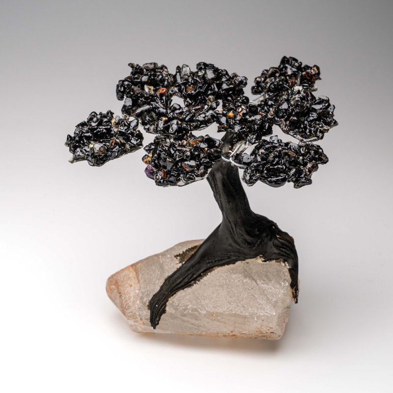 Black Tourmaline Clustered Gemstone Tree On Quartz Point Matrix (The Cleansing Tree) 5"