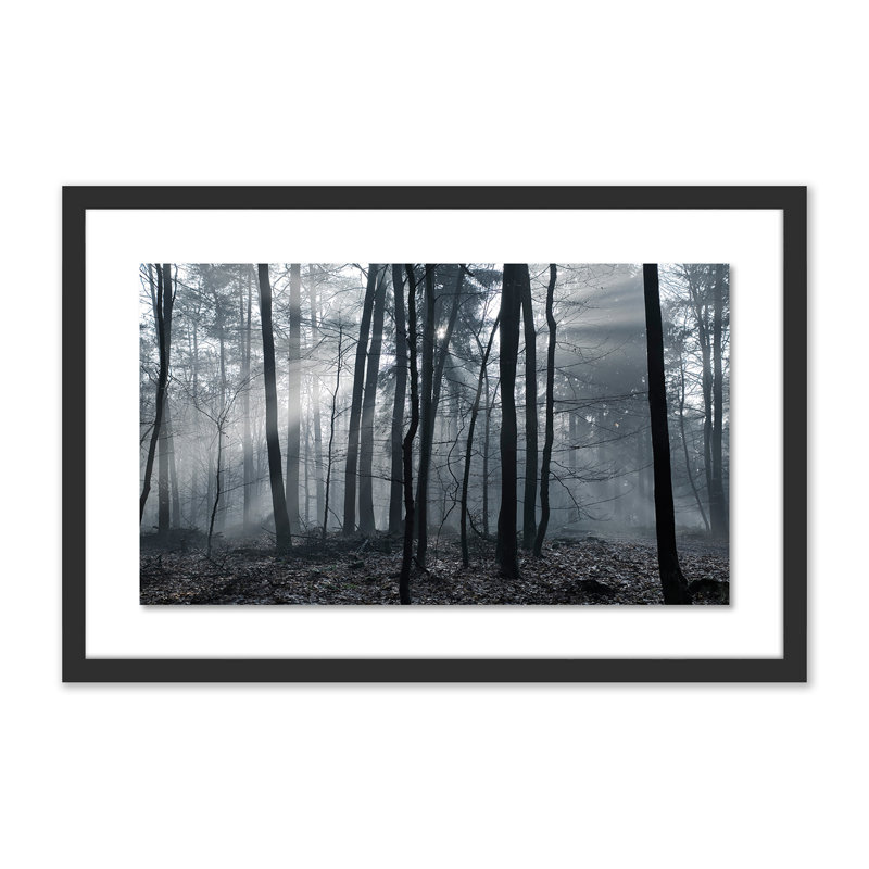 Eerie Trees I Print by Jakob Wagner, Black, 16" H x 24" W x 1.5" D
