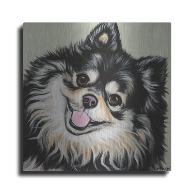 " Black And Tan Pomeranian " by Carolee Vitaletti